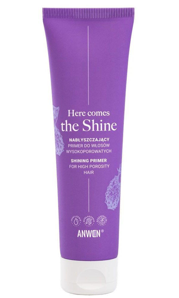 Anwen Shine Primer High Porosity 100Ml